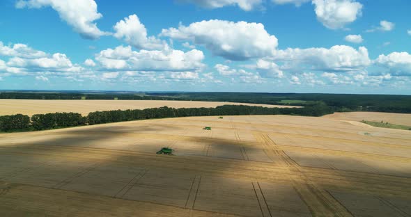 Combines Harvester on Wheat Field Aerial View