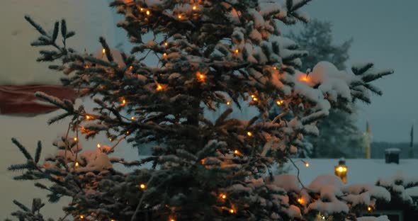Evening view of Christmas tree with lights