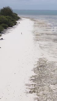 Vertical Video of Low Tide in the Ocean Near the Coast of Zanzibar Tanzania