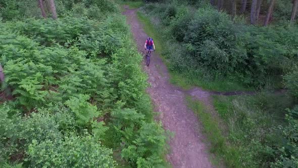 Aerial view of a mountain biker on a singletrack trail