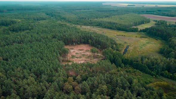4k aerial footage of cutting forest. Spot of pine trees cut