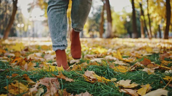 Unknown Woman Legs Walking By Green Grass with Yellow Foliage on It in Autumn Park