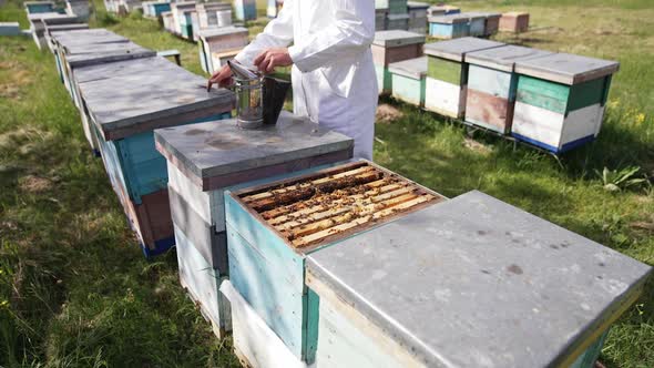 Colorful wooden beehives and bees in apiary