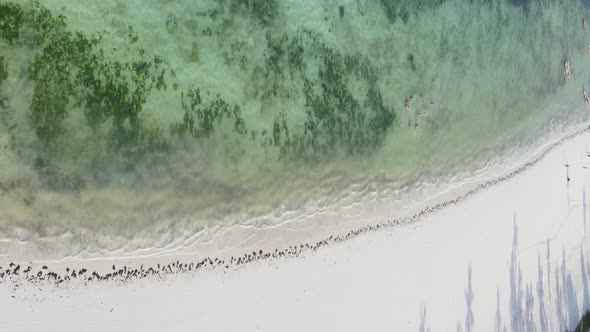 Vertical Video Boats in the Ocean Near the Coast of Zanzibar Tanzania Aerial View