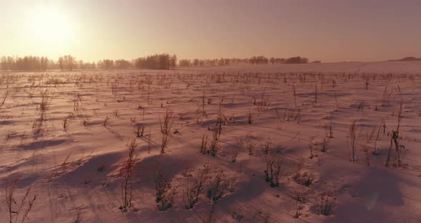 Aerial Drone View of Cold Winter Landscape with Arctic Field Trees Covered with Frost Snow and