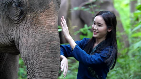 The Local Woman Is Taking Care Her Best Friend Elephant