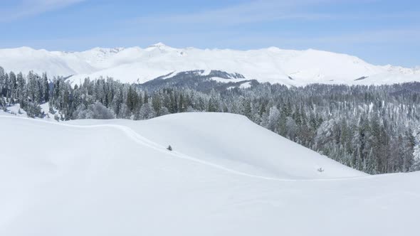 Tourists Riding on Snowmobile with Snowboard on Snowy Highlands Sunny Winter Day