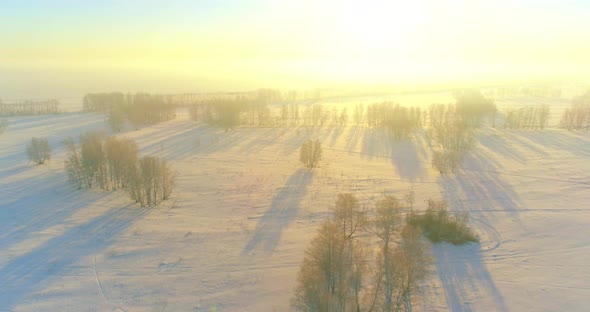 Aerial Drone View of Cold Winter Landscape with Arctic Field Trees Covered with Frost Snow and