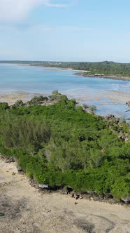 Vertical Video of Low Tide in the Ocean Near the Coast of Zanzibar Tanzania