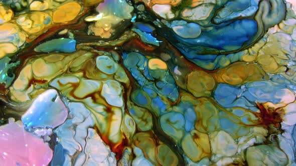 Vibrant Colours Paint Swirling Explosion 51 alt