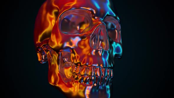 Iridescent Human Skull