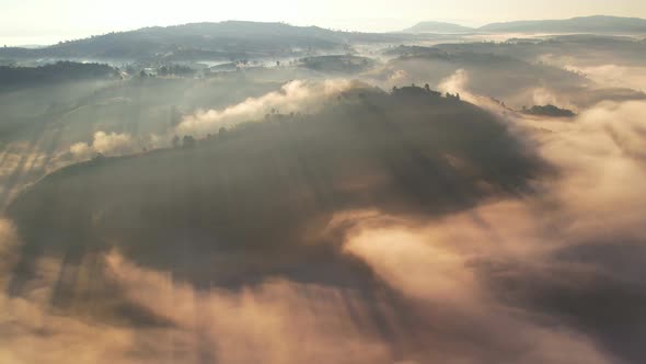 4K Aerial view of the misty sunrise in the forest.