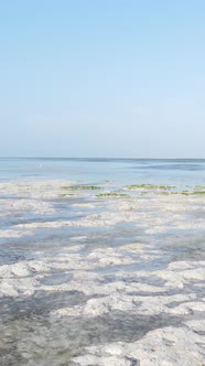 Vertical Video of Low Tide in the Ocean Near the Coast of Zanzibar Tanzania