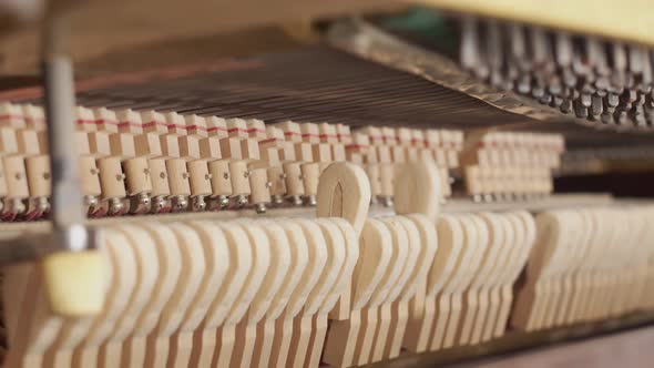 Percussion and keyboard mechanism of piano is in operation, closeup, side view.