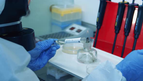 Covid19 Test Tube Is Getting Analyzed in a Laboratory