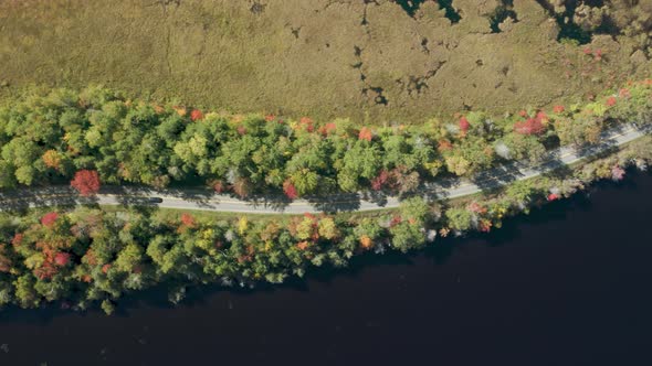 Modern Vehicle Riding Fast Along Fall Foliage Trees Along Lake Shore Aerial