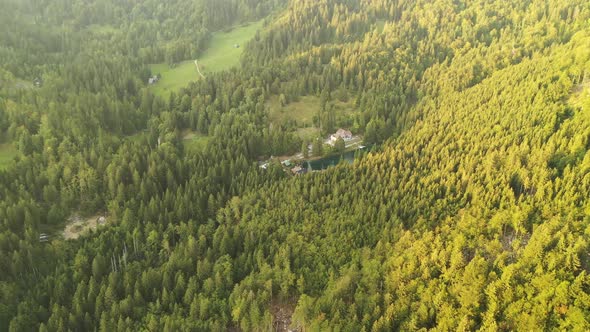 Aerial view of autumn forest