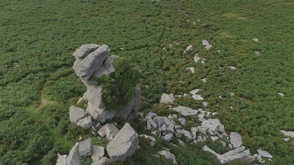 Aerial tracking over a rocky stack covered in greenery, surrounded by green bracken. Valley of rocks