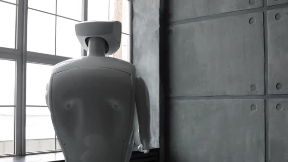 Modern Robotic Technologies. The Robot Looks at the Camera at the Person. The Robot Shows Emotions