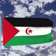 Western Sahara Flag Waving - VideoHive Item for Sale
