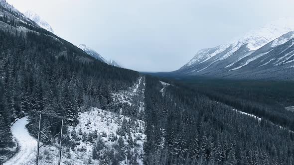 The drone flies low over a snowy overgrown mountain slope in Kananaskis, Alberta, Canada