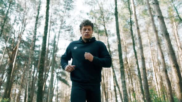 Slow Motion Shot of Man Running Through Pine Forest on Path in Woods. Runner Training Fitness and