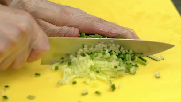 Cook Very Quickly Cuts Fresh Cucumber