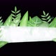 Stylized horizontal banner made of animated leaves with empty space - VideoHive Item for Sale