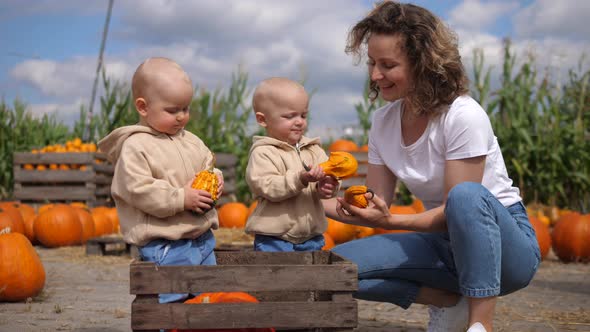 Family Day in the Pumpkin Patch. Mother Kneeing Next Her Baby Twins Showing Them Pumpkins