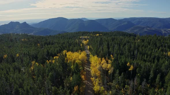 Aerial of beautiful dirt mountain road during fall with yellow aspens, 4K