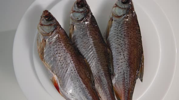 Seafood Fatty Tasty Fish on Plate Spinning on White Background