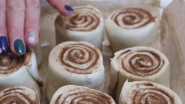 A Woman Straightens A Cinnamon Cut Dough For Baking Cinnabons. In A Baking Dish. Close Up Shot.