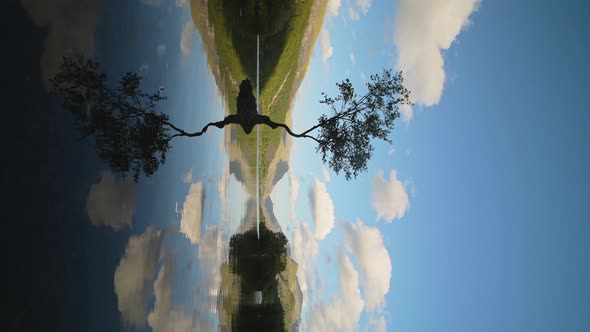 Vertical View of Tranquil Lake Scene with Reflection of Tree & Sky - Static Tripod