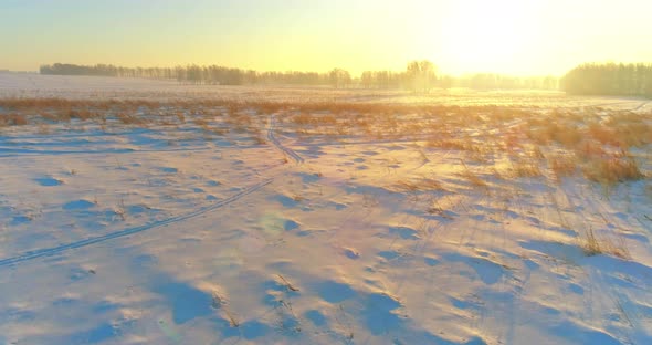 Aerial Drone View of Cold Winter Landscape with Arctic Field Trees Covered with Frost Snow and