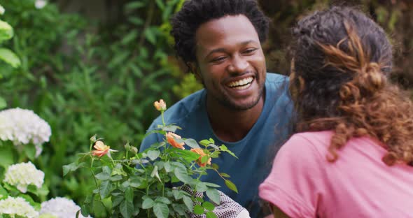 Happy biracial man holding pot with roses, gardening with female partner