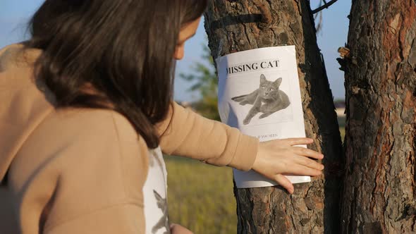 Lady Hangs Poster of Missing Cat and Strokes Photo on Tree