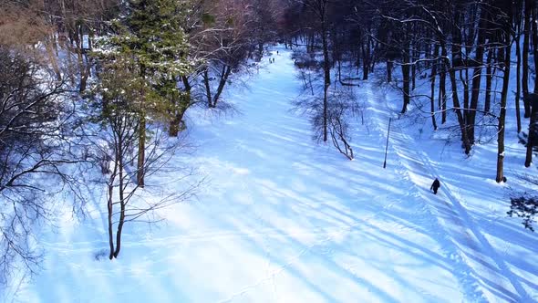Aerial view of a drone flying over the winter park
