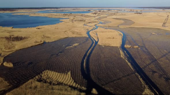 Aerial view of the lake overgrown with brown reeds, lake Pape nature park, Rucava, Latvia, sunny spr