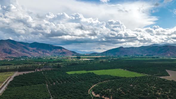 Aerial hyperlapse of green farm fields and pine trees, mountains in background, on a cloudy day, Cac