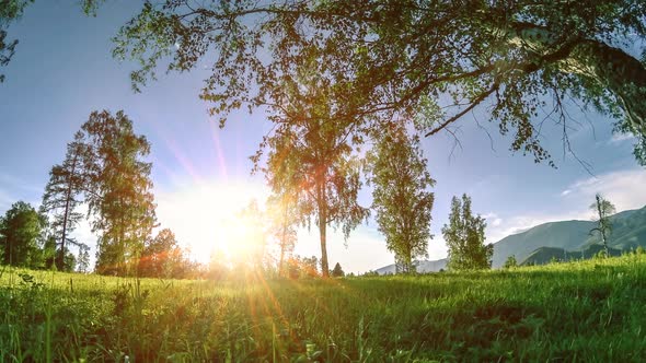 Mountain Meadow Time-lapse at the Summer or Autumn Time. Wild Nature and Rural Field. Motorised