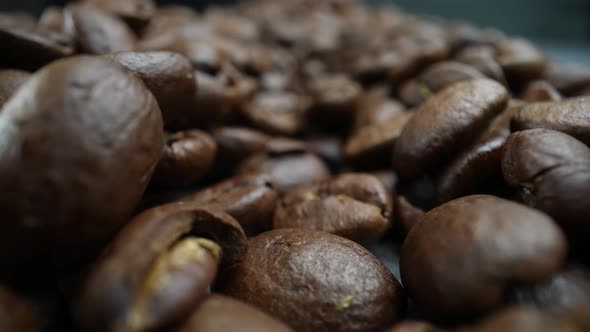 Coffee Beans 08