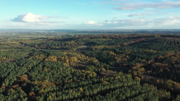 Drone shot of countryside and forest wood in autumn at sunset