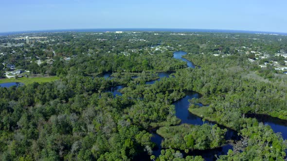 Flying Over River Flowing Through Forest Trees and Towards a Suburban Town