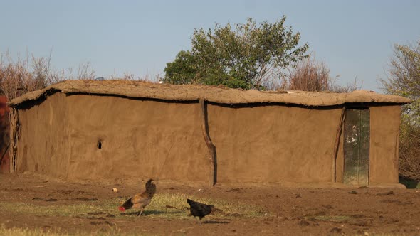 A Maasai hut