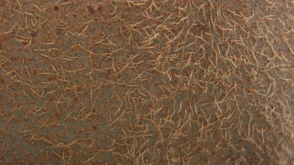 Detailed Macro Shot of Thin Light Brown Kiwi Skin with Mini Hairs on Top