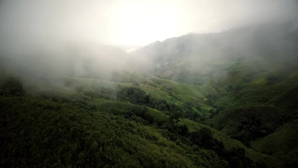 Aerial View of Lush Green Rain Forest Mountain 14