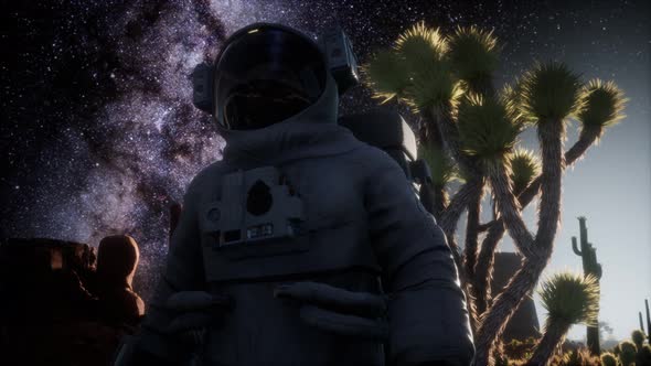 Astronaut and Star Milky Way Formation in Death Valley alt