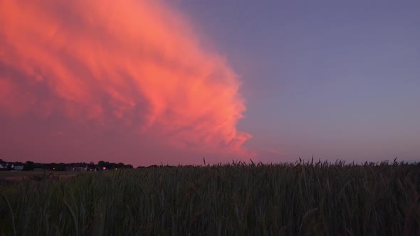 Colorful sunset from wheat field in Oklahoma after thunderstorm passes