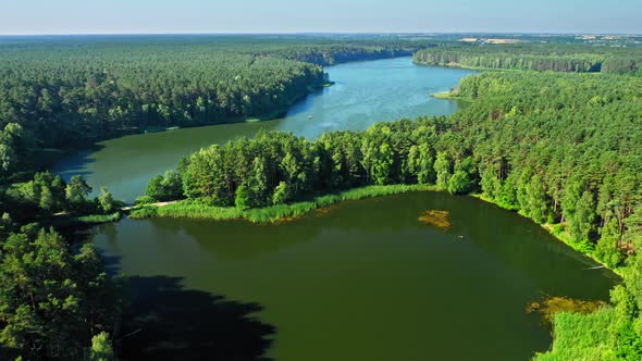 Forest and small lake in Zalew Koronowski, Poland