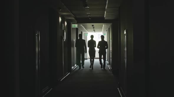 Three Professionals Walking in the Office Building